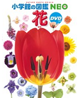 図鑑NEO 花