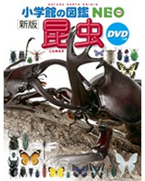図鑑NEO 昆虫