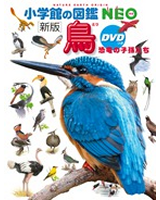 図鑑NEO 鳥